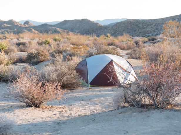 Cottonwood Campground at Joshua Tree State Park Cottonwood Campground at Joshua Tree State Park