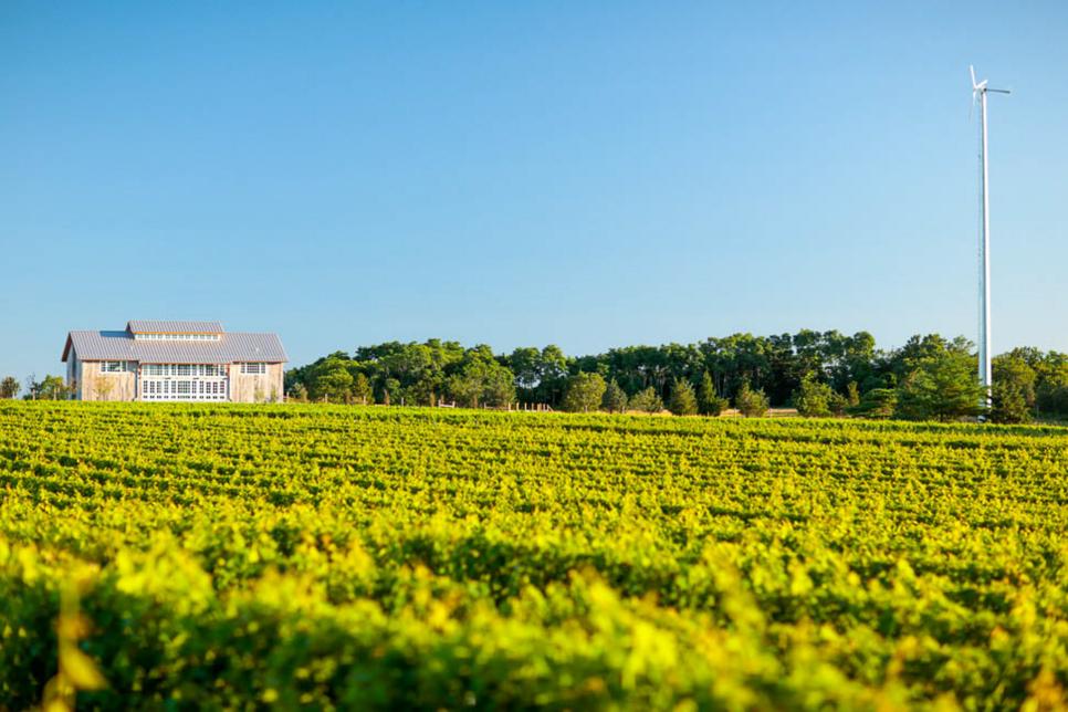 Escape New York City For A Weekend In North Fork Long