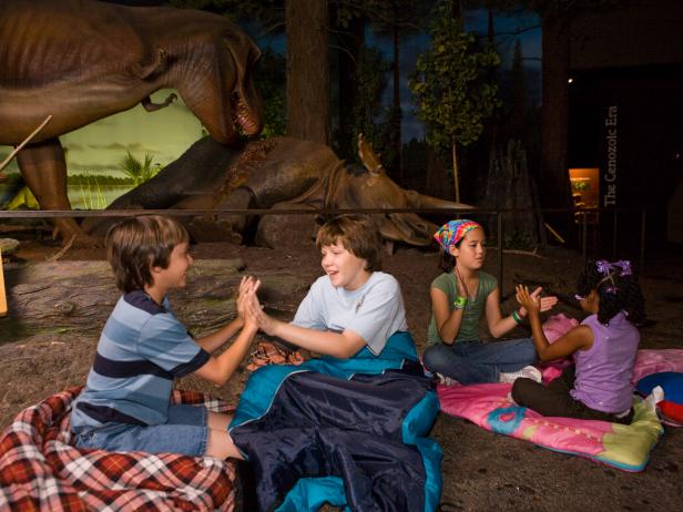 Sleepover, Milwaukee Public Museum Sleepover, Milwaukee Public Museum