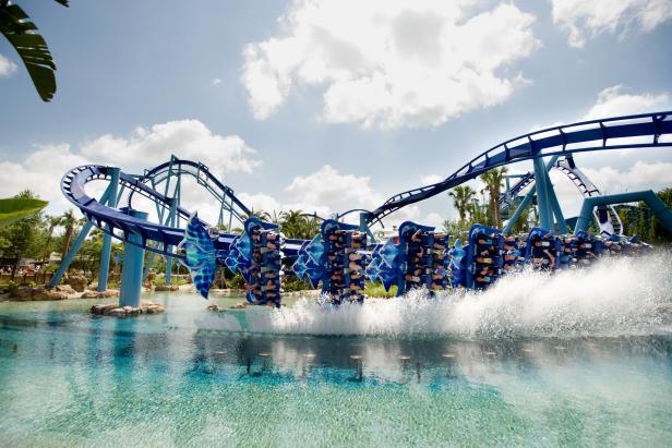 Manta, SeaWorld Orlando, Florida Manta, SeaWorld Orlando, Florida