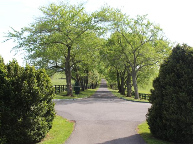 Scenic Driveway in Virginia Horse Country Scenic Driveway in Virginia Horse Country