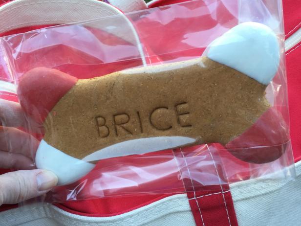 Dog Biscuit at the Brice Dog Biscuit at the Brice