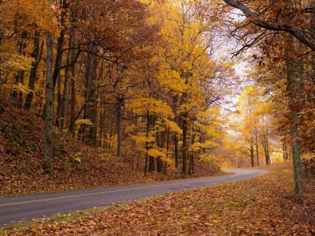 Blue Ridge Parkway Blue Ridge Parkway