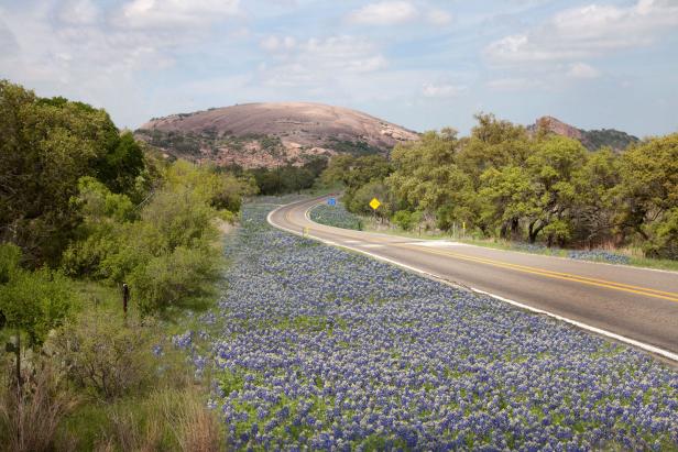 Bluebonnet Trail and Enchanted Rock, Fredericksburg, Texas Bluebonnet Trail and Enchanted Rock, Fredericksburg, Texas