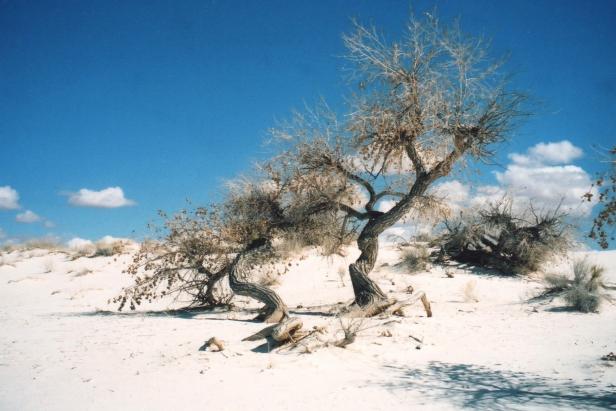 White Sands National Monument, New Mexico White Sands National Monument, New Mexico
