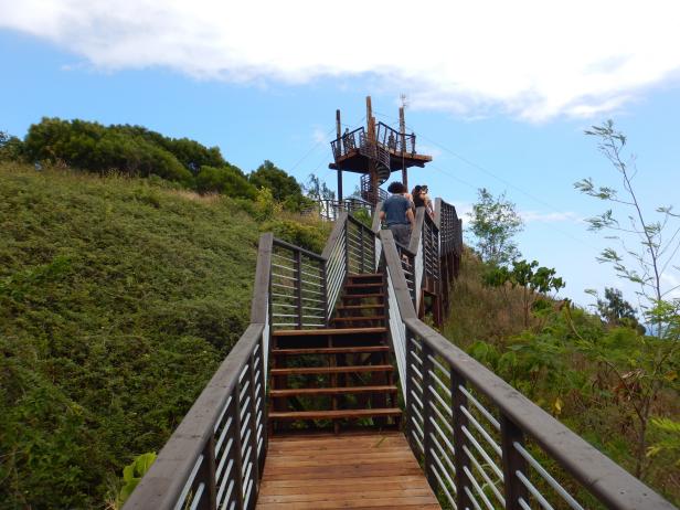 Have an Adventure on a Zipline Have an Adventure on a Zipline