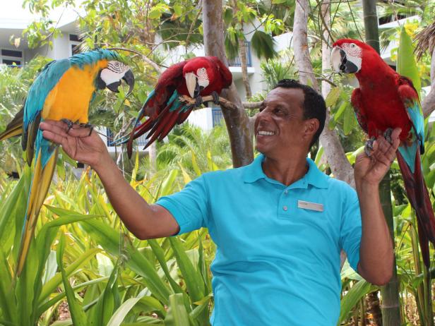 Bird Whisperer Concierge, Hilton Aruba Caribbean Resort & Casino Bird Whisperer Concierge, Hilton Aruba Caribbean Resort & Casino
