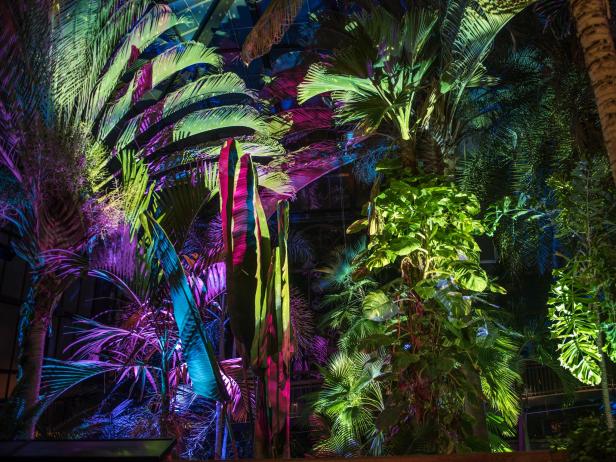 Visitors can wander through a wonderland of colorful lights and vegetation by night with live musical accompaniment at this 2016 Longwood Gardens event. Visitors can wander through a wonderland of colorful lights and vegetation by night with live musical accompaniment at this 2016 Longwood Gardens event.
