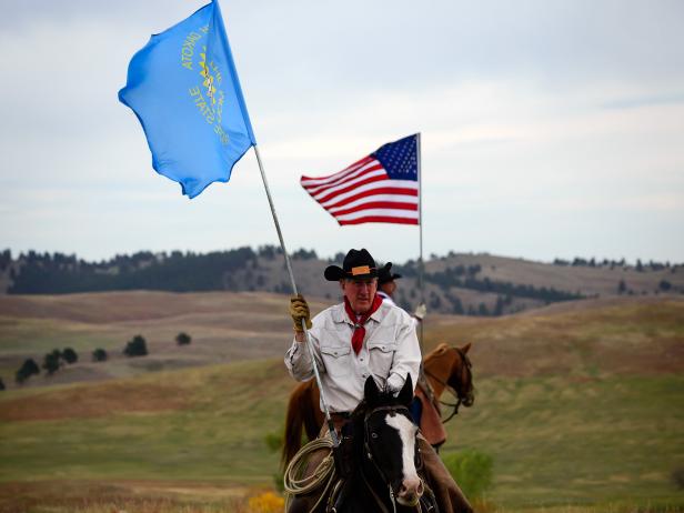 South Dakota Bison Roundup South Dakota Bison Roundup