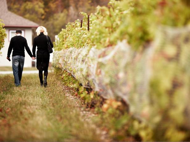 Prince Edward County Vineyard Prince Edward County Vineyard