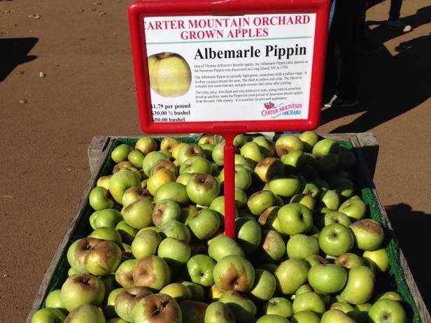 Albemarle Pippin apples Albemarle Pippin apples
