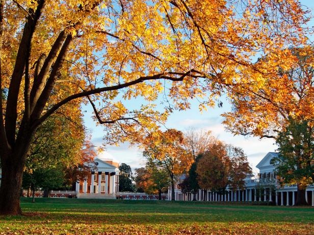 The Lawn at the University of Virginia campus The Lawn at the University of Virginia campus