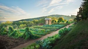 The Vegetable Garden at Monticello