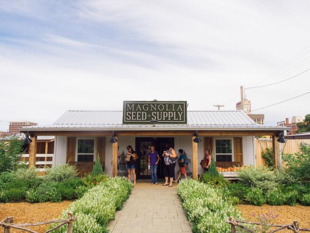 Magnolia Seed Supply, Texas Magnolia Seed Supply, Texas