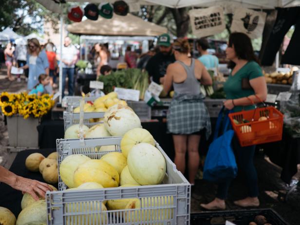 Melons at the Farmers' Market Melons at the Farmers' Market