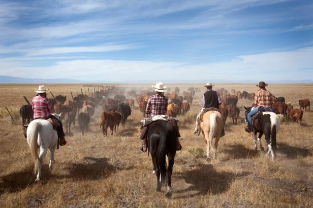 Zapata Ranch Zapata Ranch