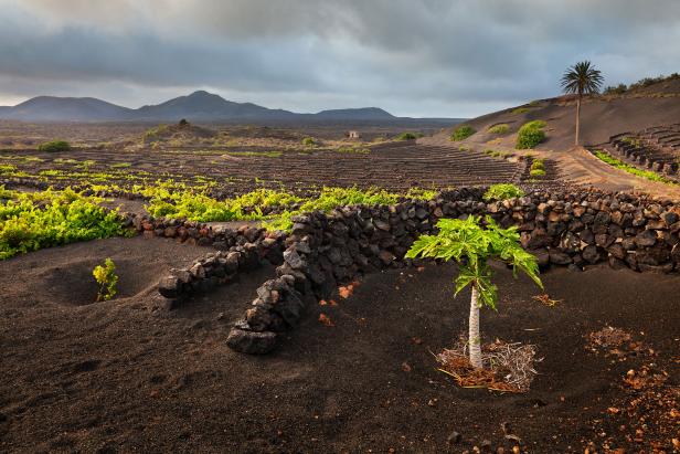 The Canary Islands in Spain The Canary Islands in Spain