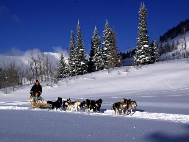 Dog Sledding at Spring Creek Ranch Dog Sledding at Spring Creek Ranch