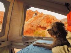 Roadtripping With Dogs: Morning in Valley of Fire in Nevada<br />