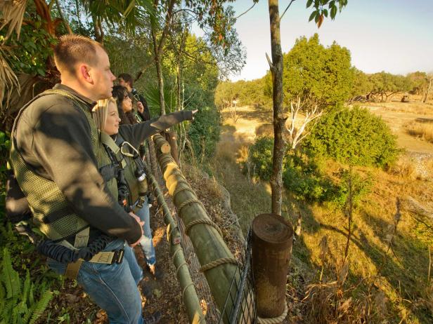Embark on a Wild Africa Trek Embark on a Wild Africa Trek