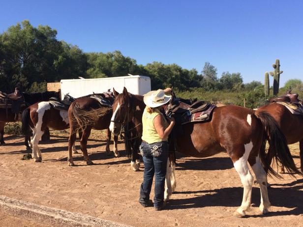 Tanque Verde Ranch in Arizona Tanque Verde Ranch in Arizona