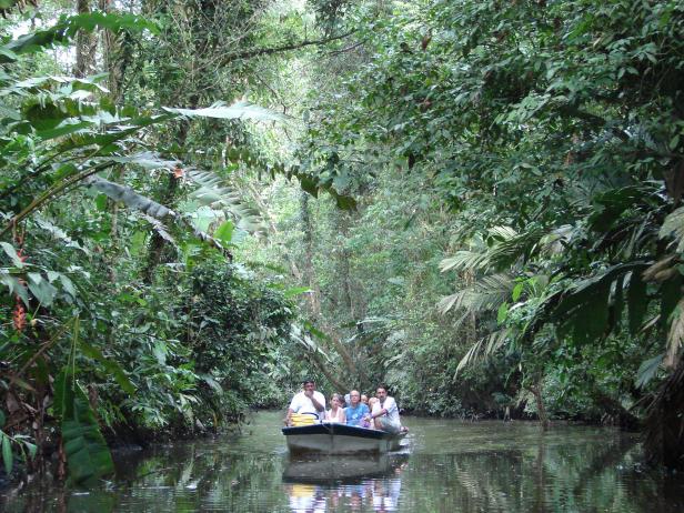 Family trip to Tortuguero National Park in Costa Rica Family trip to Tortuguero National Park in Costa Rica