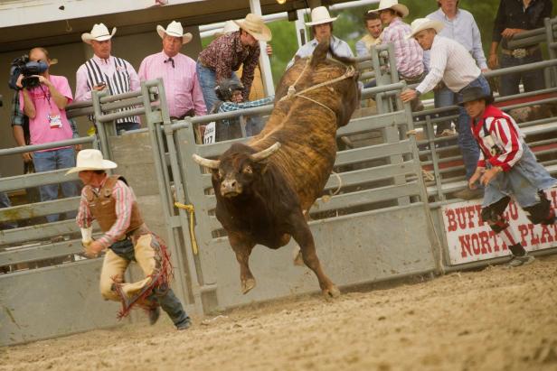 Buffalo Bill Rodeo Buffalo Bill Rodeo
