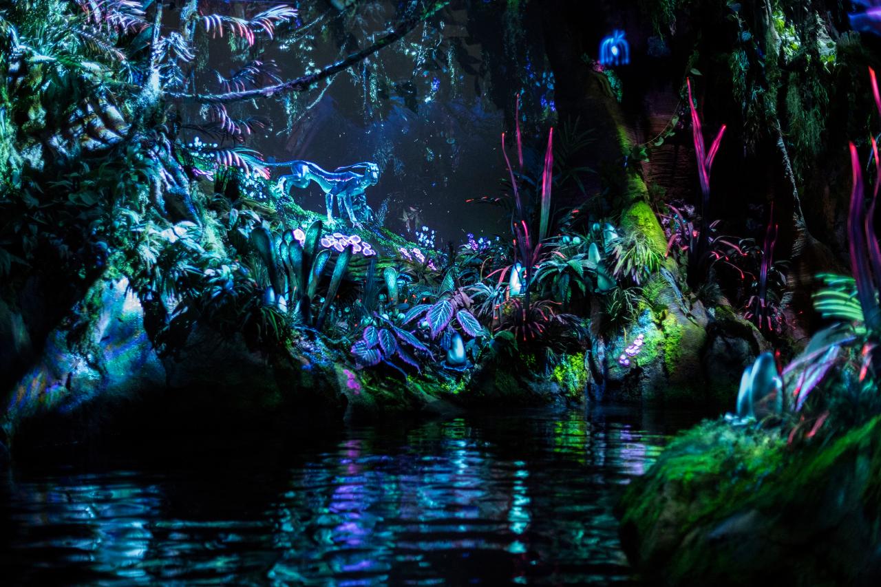 What to Do at Walt Disney World's New Pandora Land