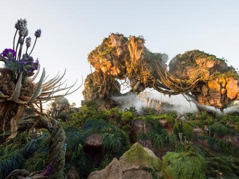 11 Things to See and Do at Walt Disney World’s New Pandora Land