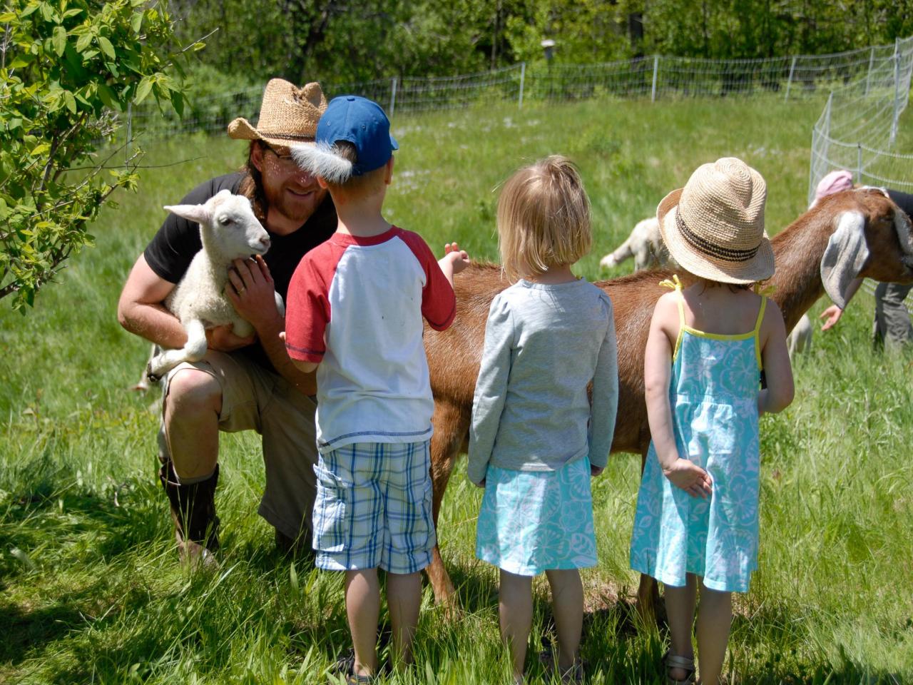 6 Places to Take the Kids for a Farm Stay | Travel Channel