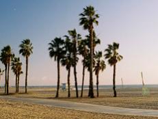 Let's begin by making one thing perfectly clear. No beach in the world is like Venice Beach.