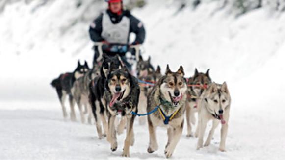 Extreme Alaska Extreme Alaska
