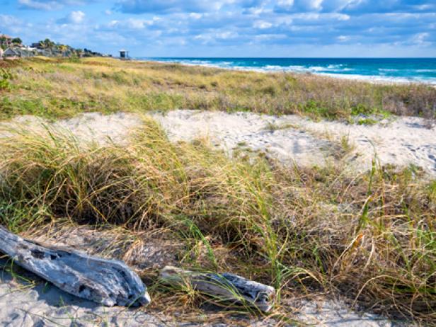 Florida Vacation Destinations Tips And Guides