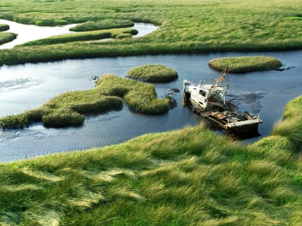 Everglades Everglades