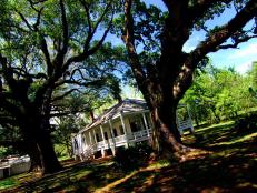 Ghost Adventures investigate the Magnolia Plantation's main house and slave quarters in Natchitoches, LA.