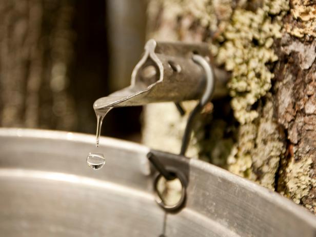 Maple syrup Maple syrup