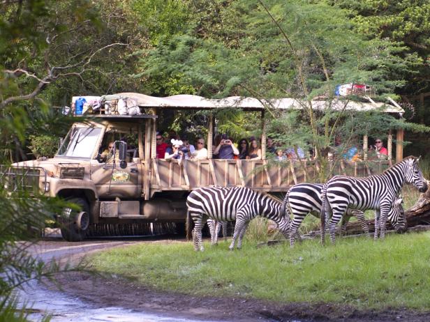 America's Wildest Zoos : Top 5 Zoos In The Us : Family Travel : Travel 