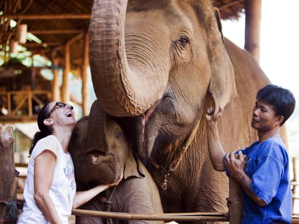 Elephant Poo Coffee Elephant Poo Coffee