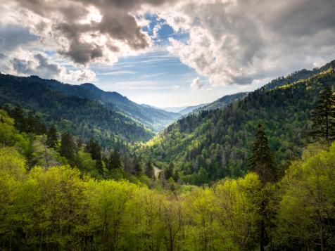 Great Smoky Mountains Road Trip