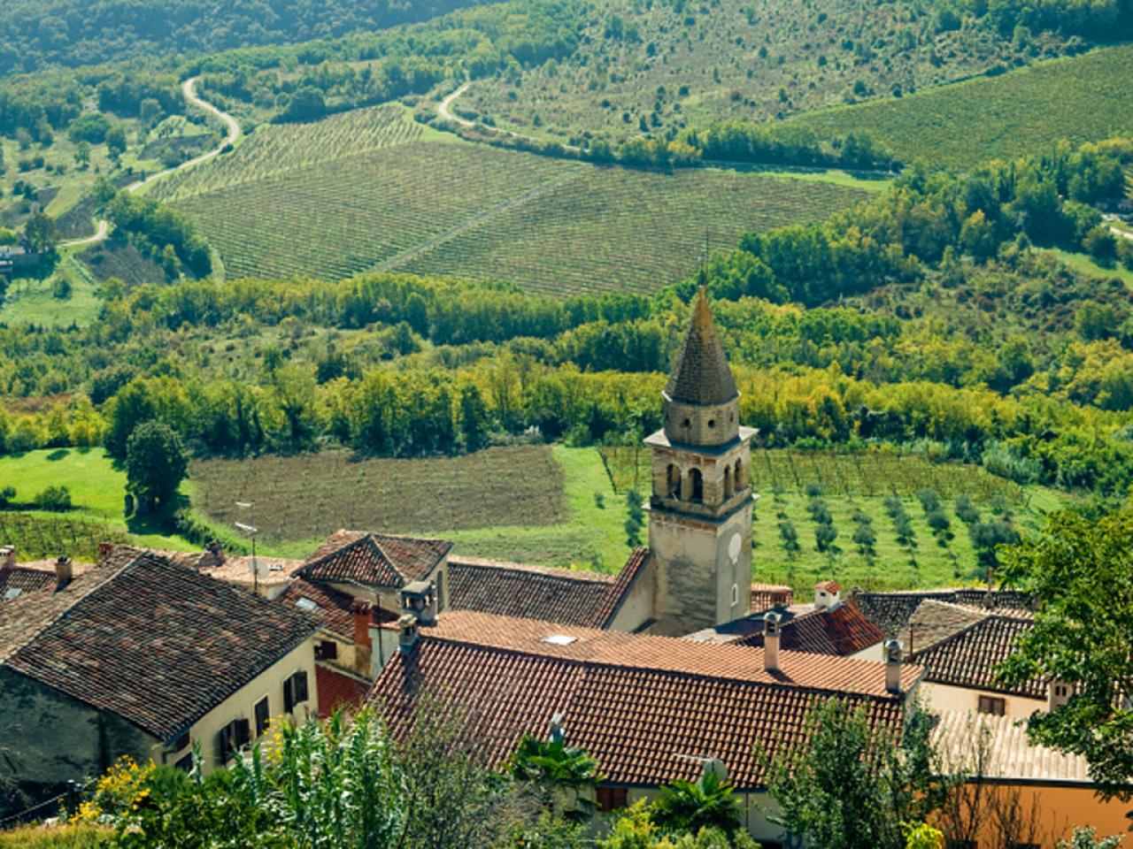 Guide to Croatia's Wine Country Best Places for Wine Tasting in