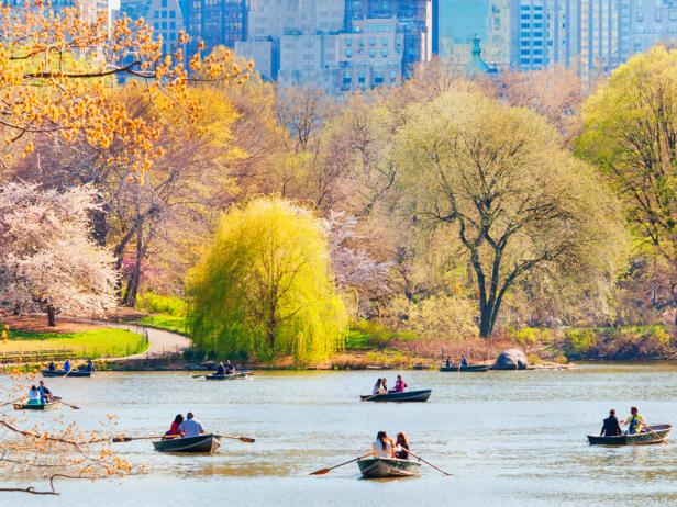 Central Park Lake Central Park Lake