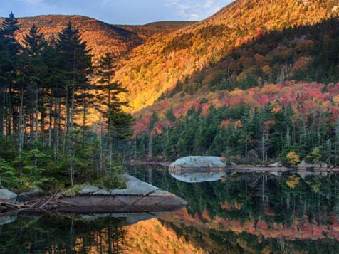 7 Fall Foliage Photography Tips From a Pro