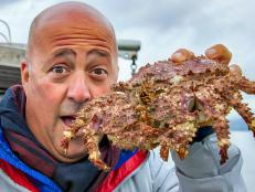 Andrew Zimmern with a box crab in Vancouver