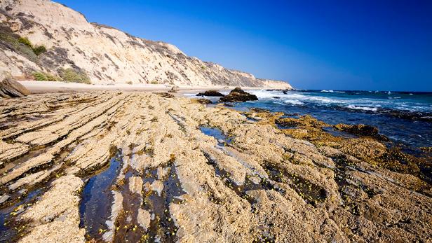 Crystal Cove State Park