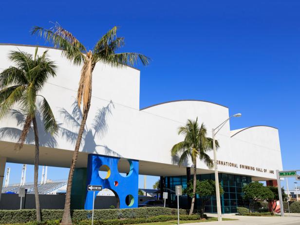 international swimming hall of fame, fort lauderdale, ft lauderdale, florida international swimming hall of fame, fort lauderdale, ft lauderdale, florida