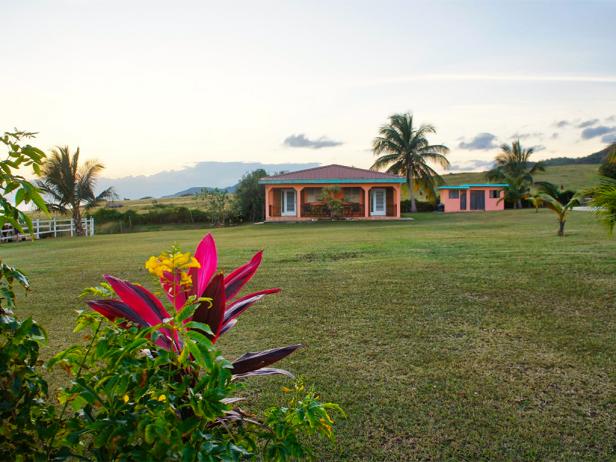 hectors by the sea, vieques, puerto rico hectors by the sea, vieques, puerto rico