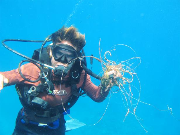 trilogy, blue aina, reef, clean up, maui, hawaii trilogy, blue aina, reef, clean up, maui, hawaii