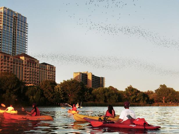 congress ave bridge, kayaking, bats, austin, texas