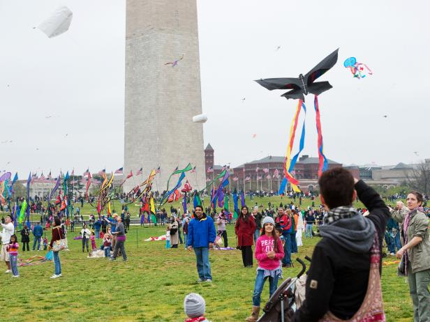 national cherry blossom festival, kite festival, washington, dc national cherry blossom festival, kite festival, washington, dc