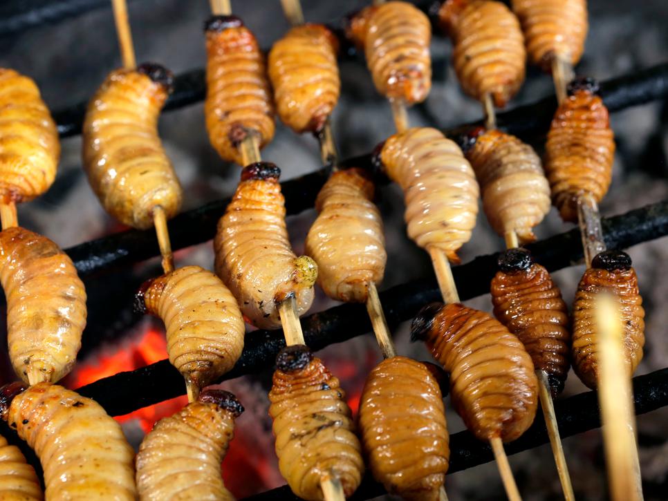 Coconut Tree Grubs in Iquitos